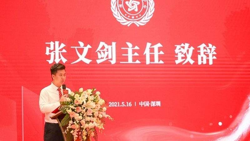 媒介投放案例步骤详解：从策略到执行的全过程解析